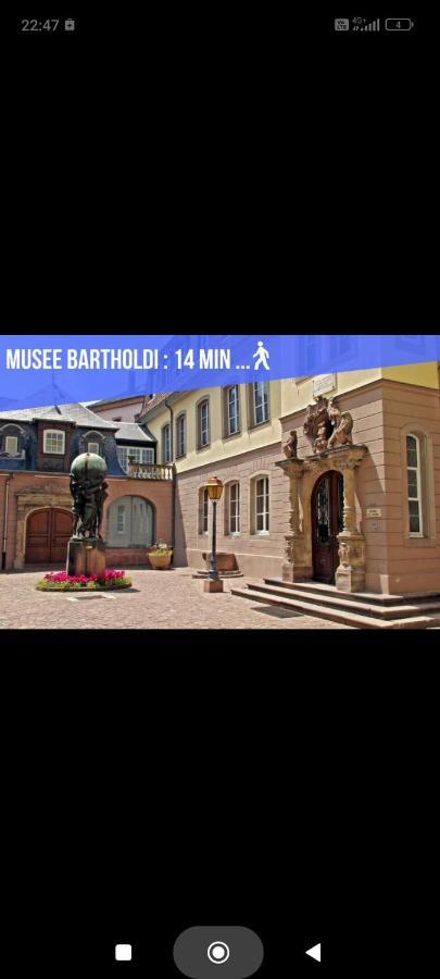 Refuge Ladhof Odysalis I Chic-Moderne-Proche Du Centre-Ville 3 Pieces 2 Chambres Colmar Kültér fotó